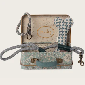 Accesorios para cachorros - Azul