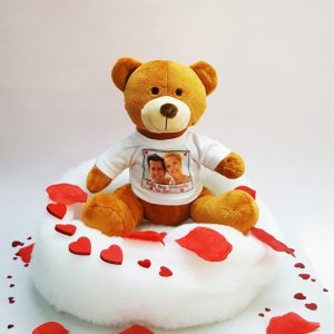 Peluche camiseta personalizada